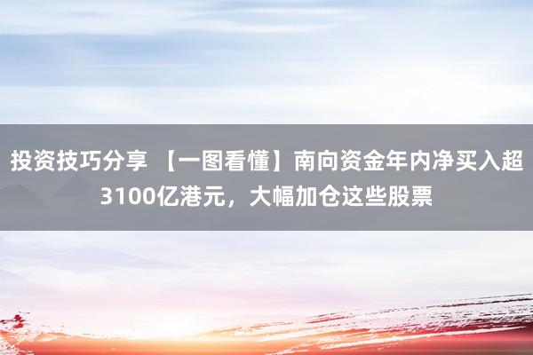 投资技巧分享 【一图看懂】南向资金年内净买入超3100亿港元，大幅加仓这些股票