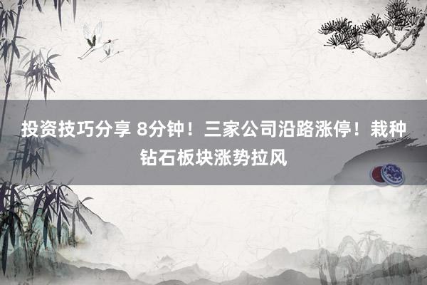 投资技巧分享 8分钟！三家公司沿路涨停！栽种钻石板块涨势拉风