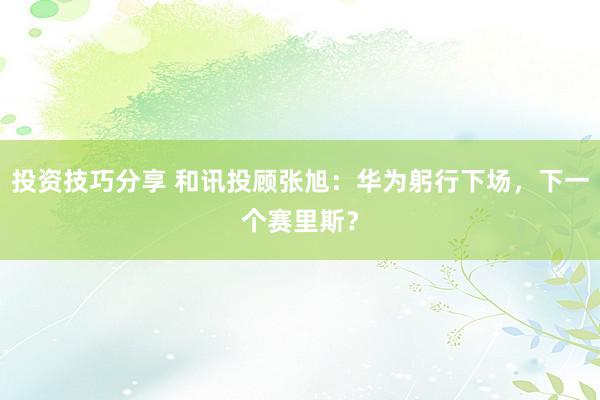 投资技巧分享 和讯投顾张旭：华为躬行下场，下一个赛里斯？