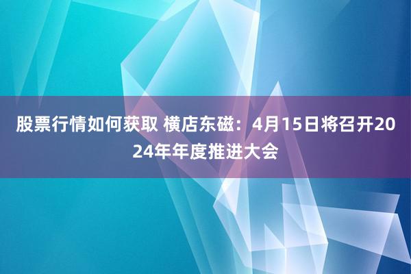 股票行情如何获取 横店东磁：4月15日将召开2024年年度推进大会