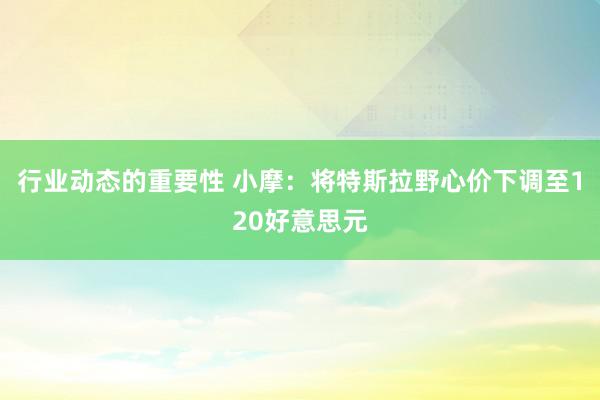 行业动态的重要性 小摩：将特斯拉野心价下调至120好意思元