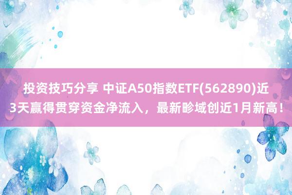 投资技巧分享 中证A50指数ETF(562890)近3天赢得贯穿资金净流入，最新畛域创近1月新高！